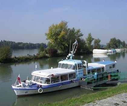 Donauschiff MS Maria | individuelle Schifffahrten ab Ardagger